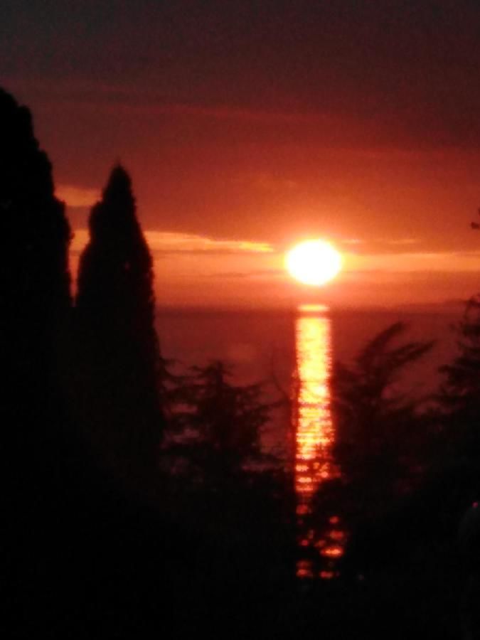 Гостевой дом Отдых у Марго Гагра