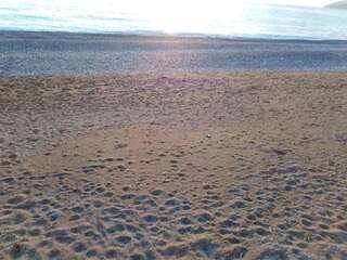 Гостевой дом Отдых у Марго Гагра Трехместный номер с основными удобствами и общей ванной комнатой-36