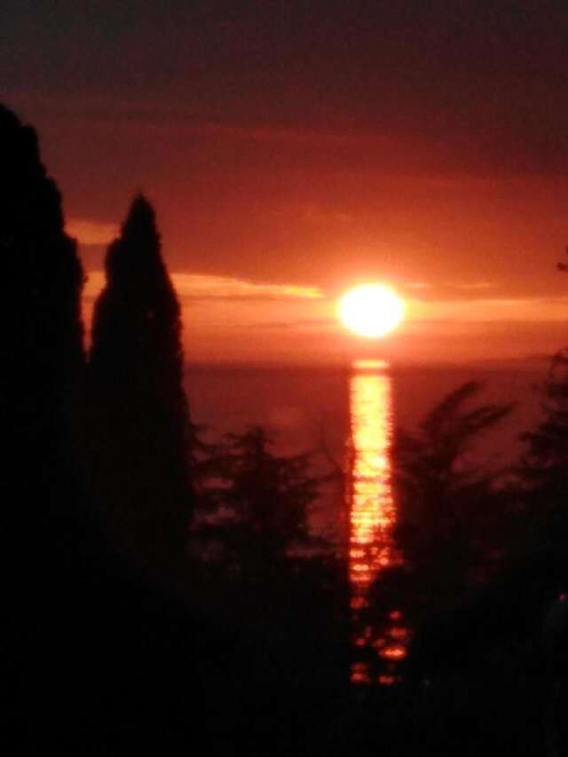 Гостевой дом Отдых у Марго Гагра-12